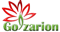 Golzarion Consulting Logo